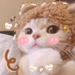 1759170698038.webp