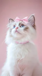 1759595123233.webp