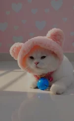 1759746229872.webp