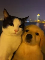 1759786070575.webp