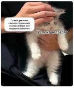 1759786293299.webp