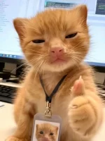 1759911878175.webp