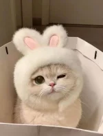 1759928619456.webp