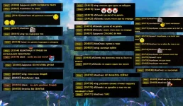 1779269409653.webp