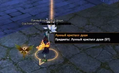 1786381986211.webp