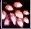 1786818225691.webp