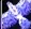 1786984684355.webp