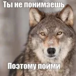 1787841411534.webp