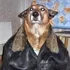 1787851289080.webp
