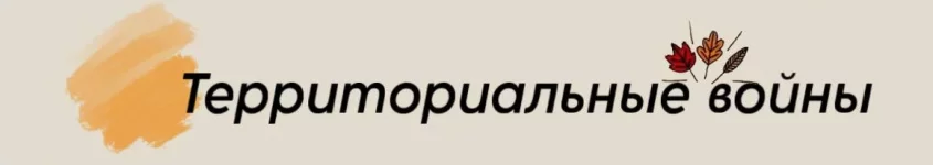1791315113760.webp