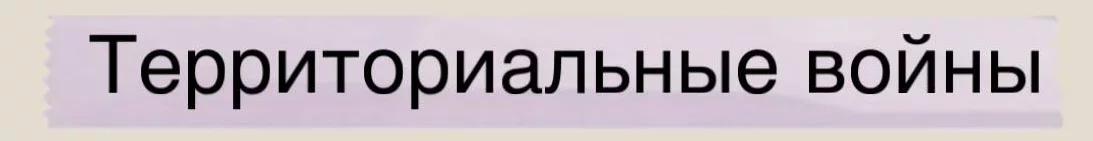 1792013146388.webp