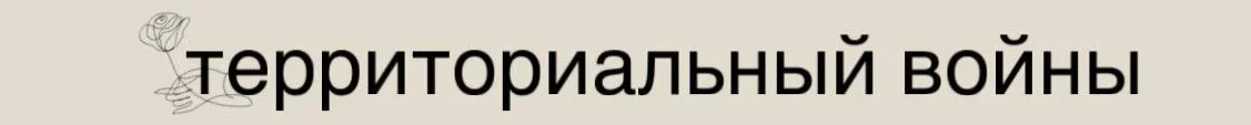1792598822952.webp