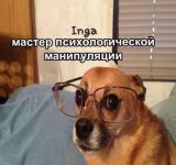 1691584081156724226.webp