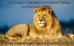 908908098909.webp