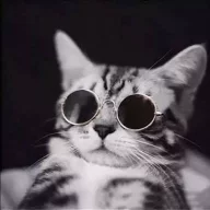 fistashka_