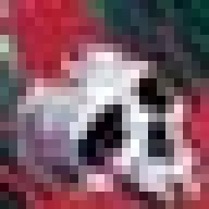 tema167