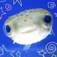 Pnchi