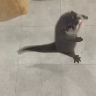 nanoseal