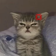 ZloyKotik69