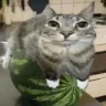 BigBalls