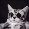 fistashka_
