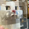 СраньГосподняя