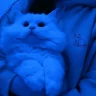 Новенькая