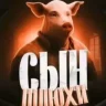 Снюсик