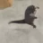 nanoseal